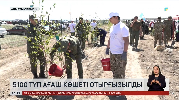 5100 түп ағаш көшеті отырғызылды