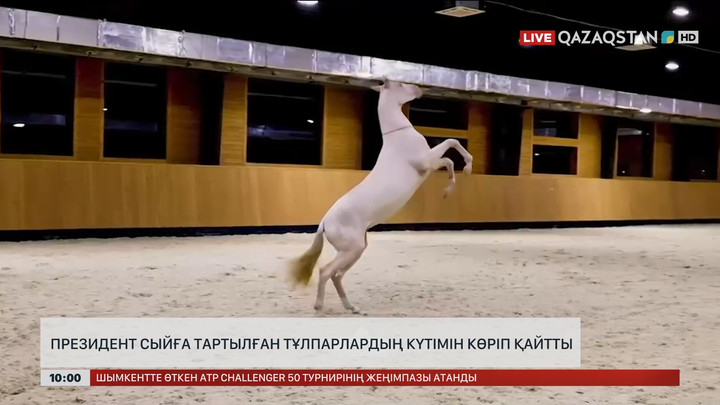 Президент сыйға тартылған тұлпарлардың күтімін көріп қайтты