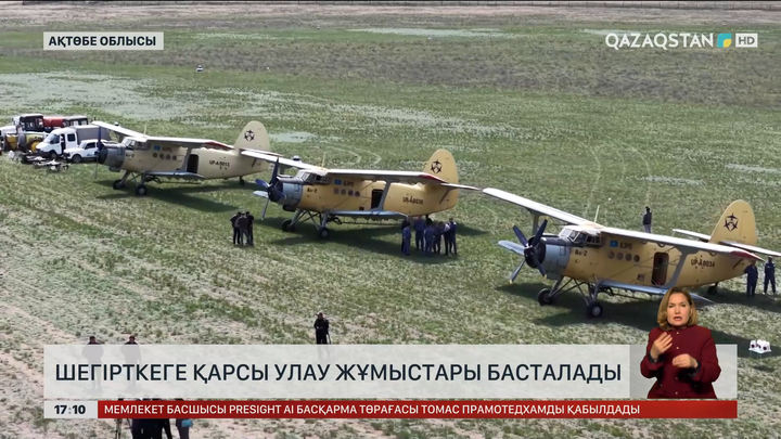 Ақтөбе облысында шегіртке улау басталады