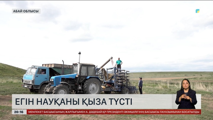 Егін науқаны қыза түсті