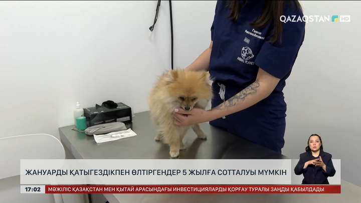 Жануарды қатыгездікпен өлтіргендер 5 жылға сотталуы мүмкін