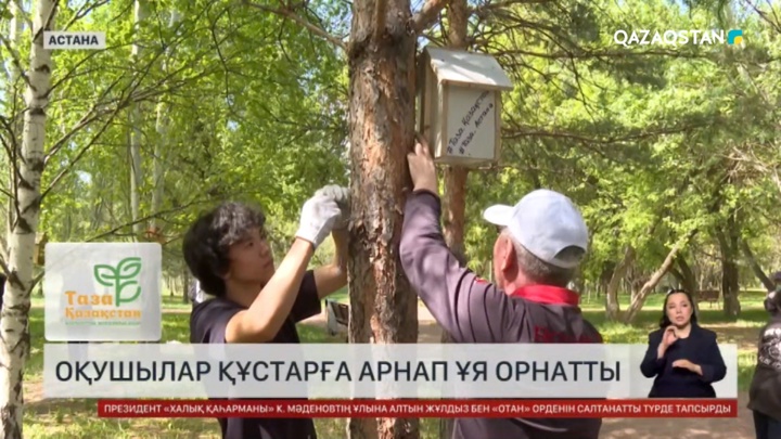 Елордалық оқушылар құстарға ұя жасады