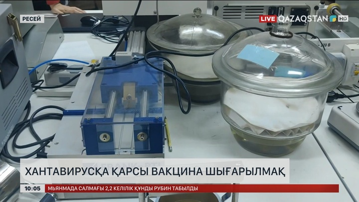 Ресейде хантавирусқа қарсы вакцина шығарылмақ