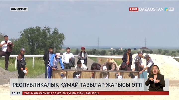 Республикалық құмай тазылар жарысы өтті