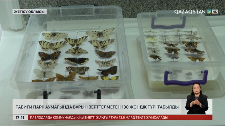 Ғылымға белгісіз болған 130 түрлі жәндік анықталды
