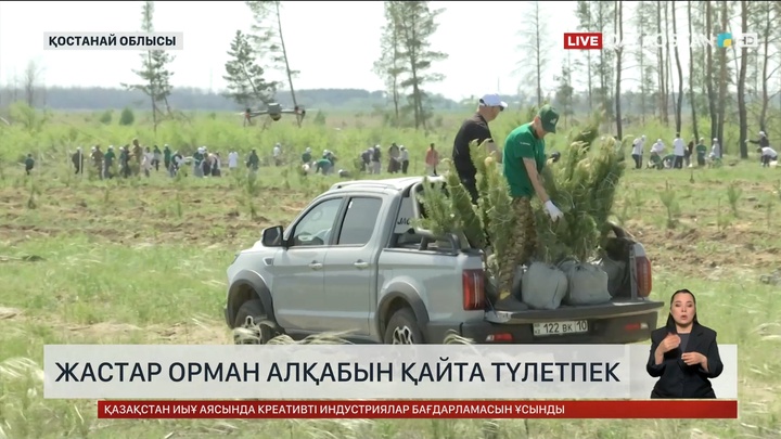 Қостанай облысында орман алқабын түлете бастады