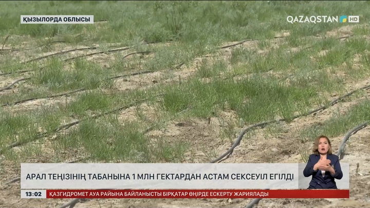 Аралдың 1 млн гектар қайраңына сексеуіл егілді