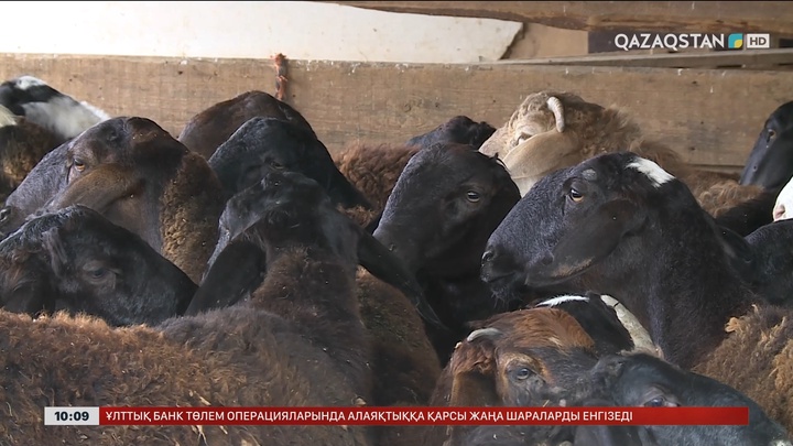 Елордада құрбан шалу үшін арнайы орындар белгіленді 