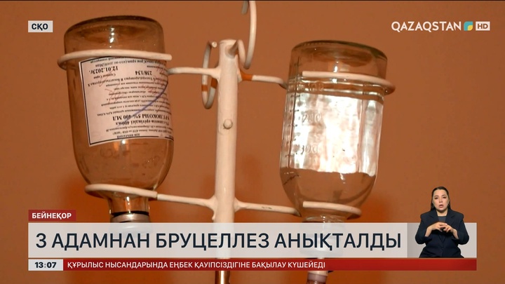 СҚО-да 3 адамнан бруцеллез анықталды