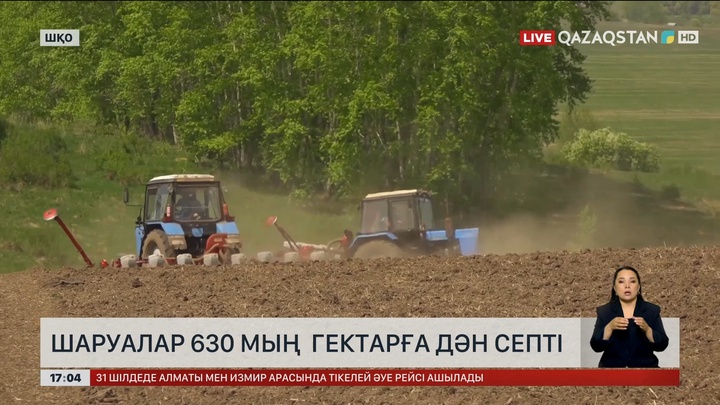 ШҚО-да 630 мың гектар жерге дән септі