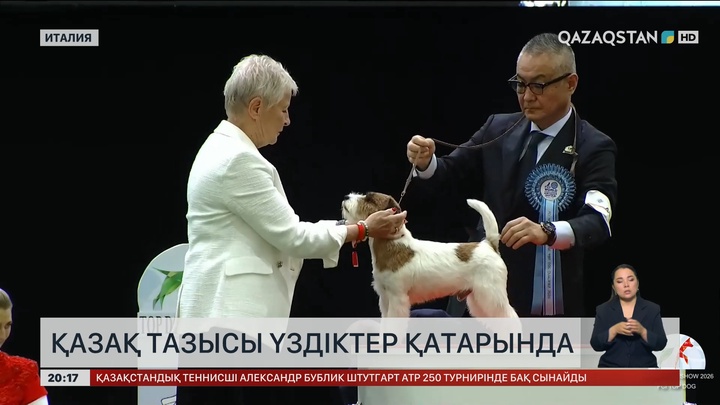 Қазақ тазысы үздіктер қатарында
