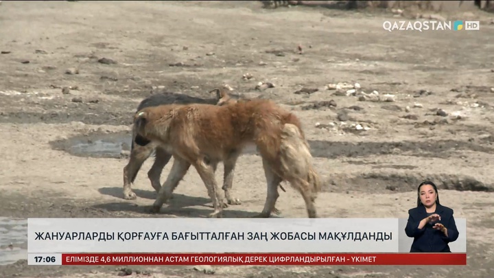 Жануарларды қорғауға бағытталған заң жобасы мақұлданды