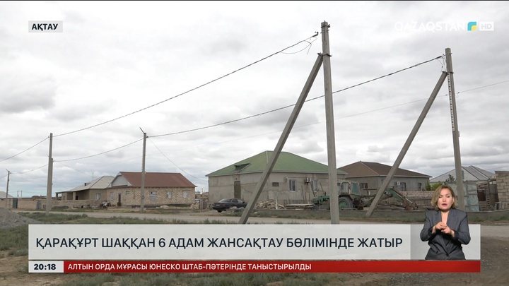 Қарақұрт шаққан 6 адам жансақтау бөлімінде жатыр