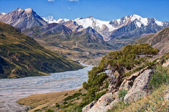  Жануарлар дүниесін қорғау, молықтыру және тұрақты пайдалану мәселелері бойынша заңға қол қойылды