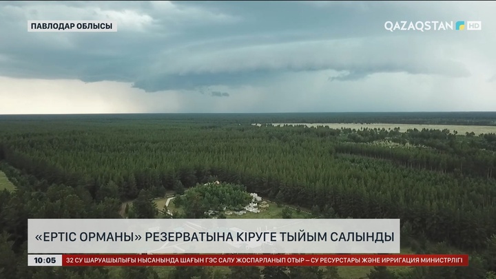 Павлодар облысында «Ертіс орманы» резерватына кіруге тыйым салынды
