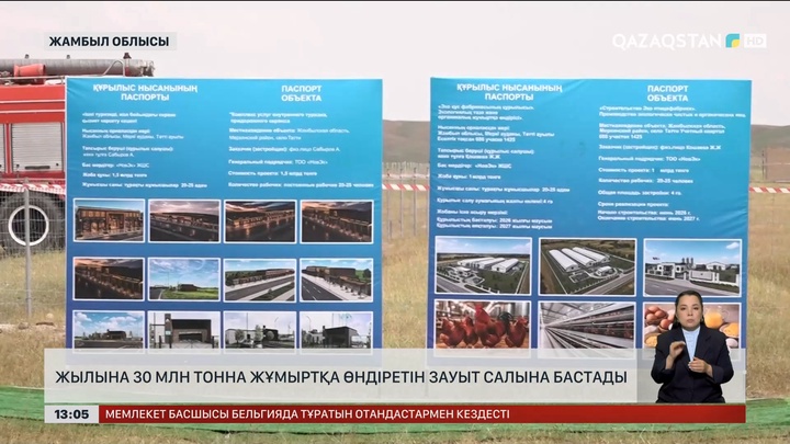 Жамбыл облысында жылына 30 млн тонна жұмыртқа өндіретін зауыт салына бастады