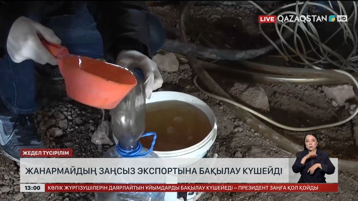 Жанармайдың заңсыз экспортына бақылау күшейтілді