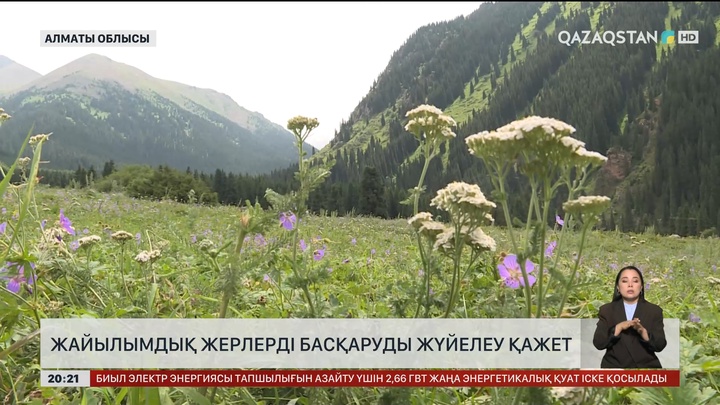 Жайылымдық жерлерді басқаруды жүйелеу қажет