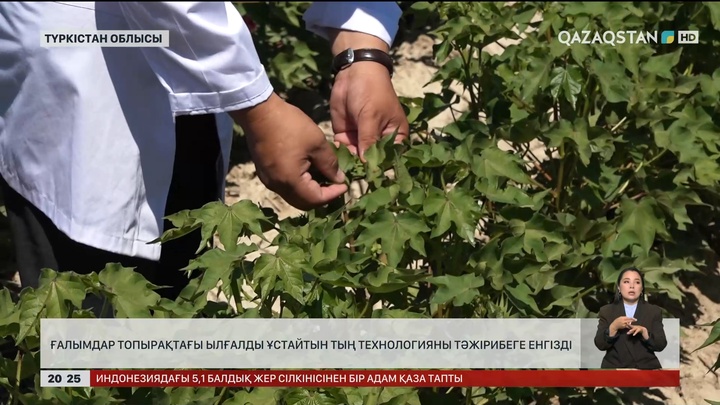 Ғалымдар топырақтағы ылғалды ұстайтын тың технологияны тәжірибеге енгізді 