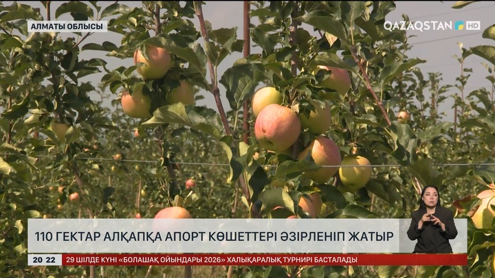 110 гектар алқапқа апорт көшеттері әзірленіп жатыр