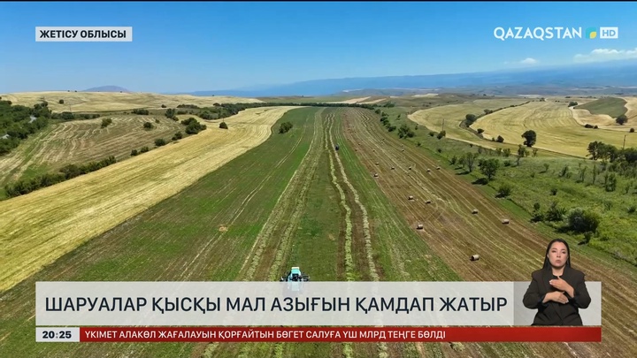  Жетісу облысында шаруалар қысқы мал азығын қамдап жатыр