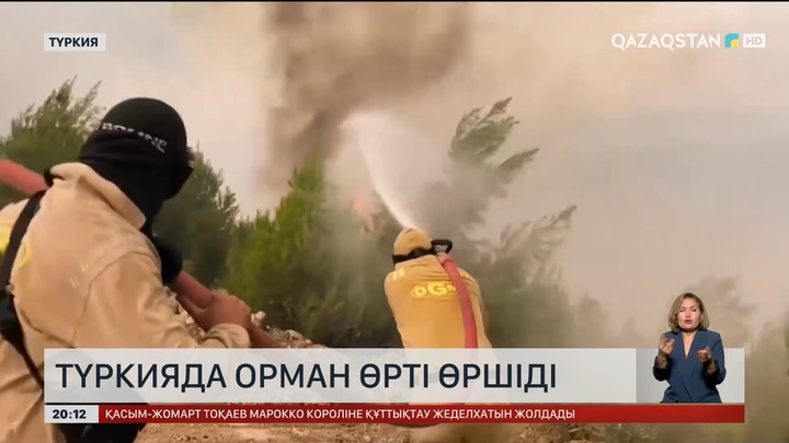 Түркияда орман өрті өршіді