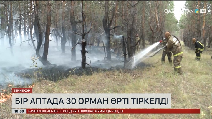 Бір аптада 30 орман өрті тіркелді