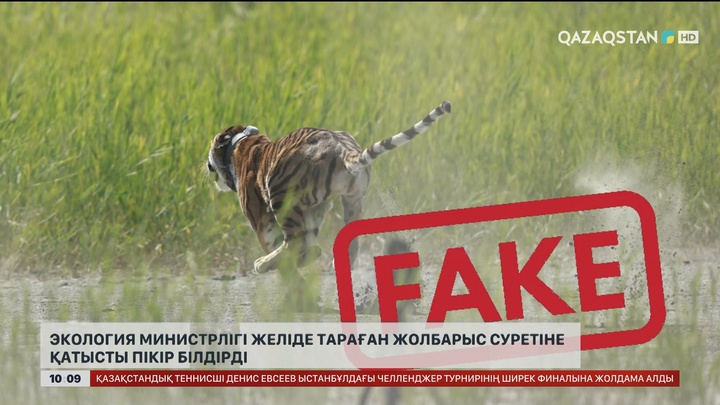 Экология министрлігі желіде тараған жолбарыс суретіне қатысты пікір білдірді