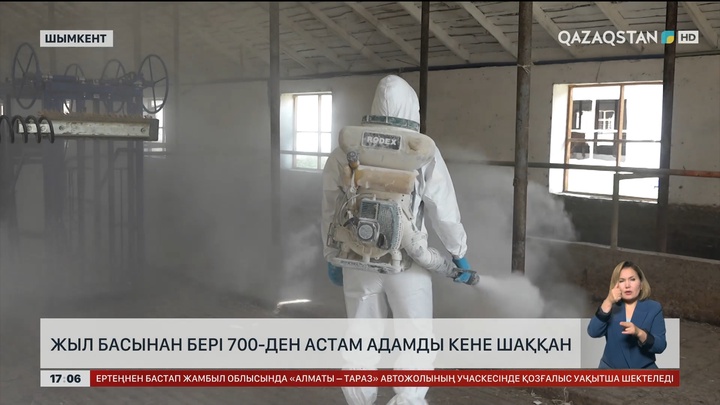 Жыл басынан бері 700-ден астам адамды кене шаққан