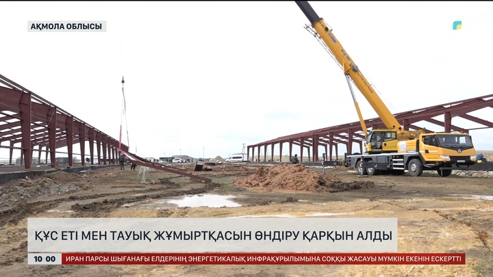 Құс еті мен тауық жұмыртқасын өндіру қарқын алды