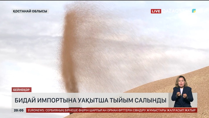 Бидай импортына уақытша тыйым салынды