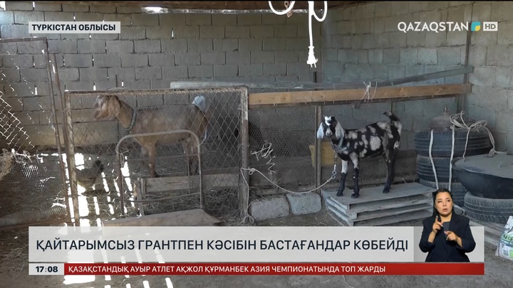 Қайтарымсыз грантпен кәсібін бастағандар көбейді