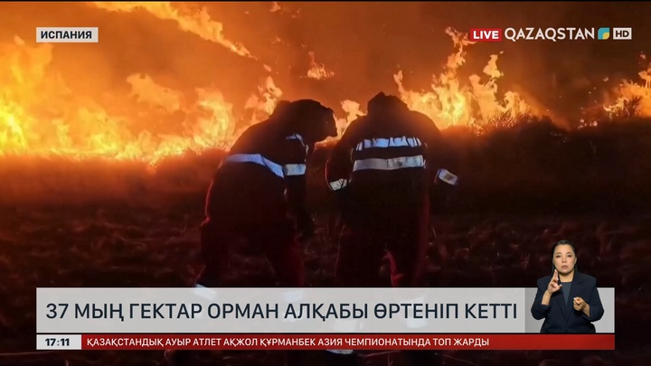 Испанияда 37 000 гектар орман алқабы өртеніп кетті
