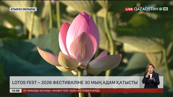 Lotos fest – 2026 фестиваліне 30 мың адам қатысты