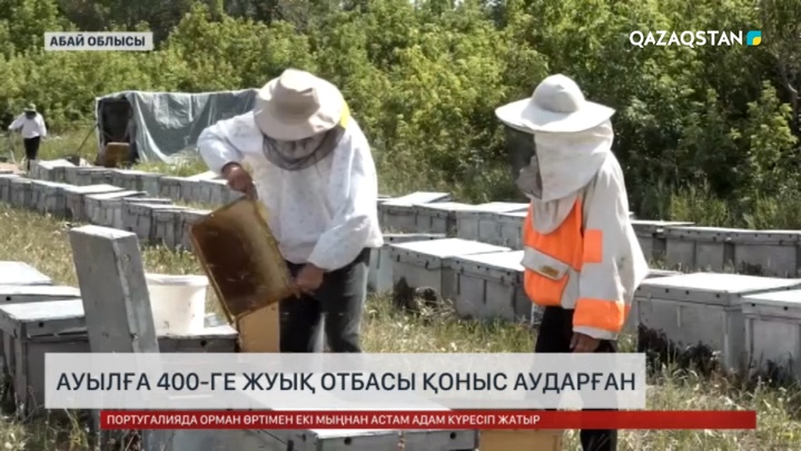 Ауылға 400-ге жуық отбасы қоныс аударған 