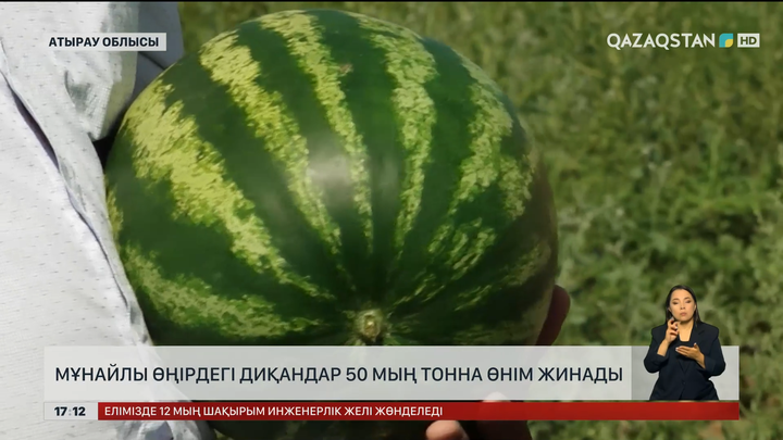 Атыраулық диқандар 50 мың тоннадай өнім жинады