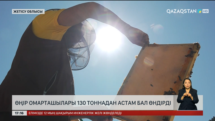 Жетісу омарташылары 130 тоннадан аса бал өндіреді
