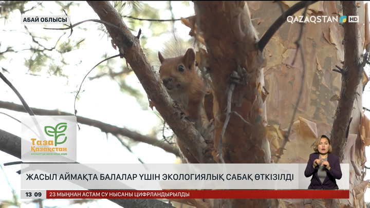 Балалар «Семей орманында» дәріс тыңдады