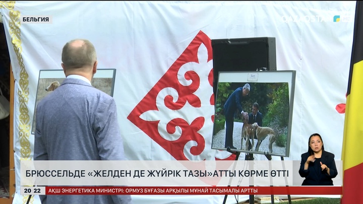 Брюссельде «Желден де жүйрік тазы» атты көрме өтті