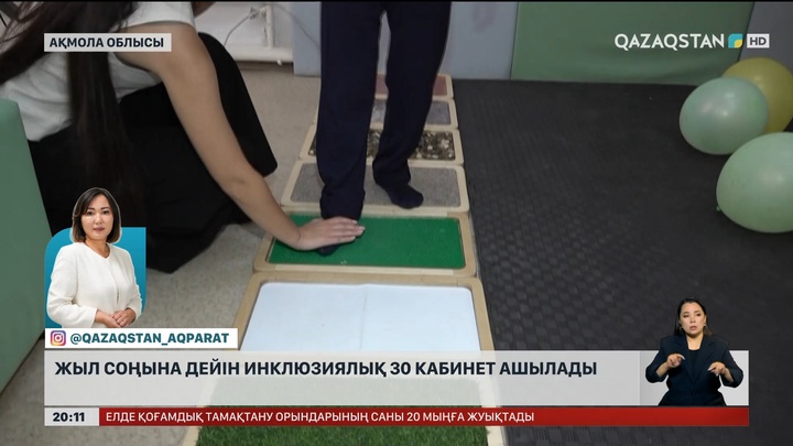 Ақмола облысында жыл соңына дейін инклюзияны қолдау бойынша 30 кабинет ашылады