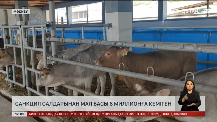 Ресейде мал азайып барады