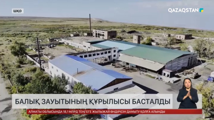 Зайсан көлінің жағасына балық зауытын сала бастады