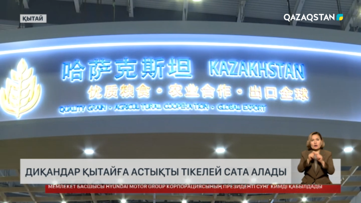 Қытайға астықты делдалсыз сатуға болатын болды