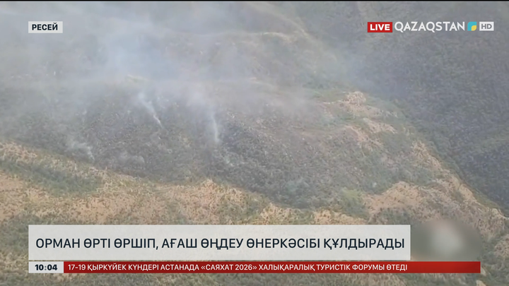 Ресейде орман өрті өршіп, ағаш өңдеу өнеркәсібі құлдырады