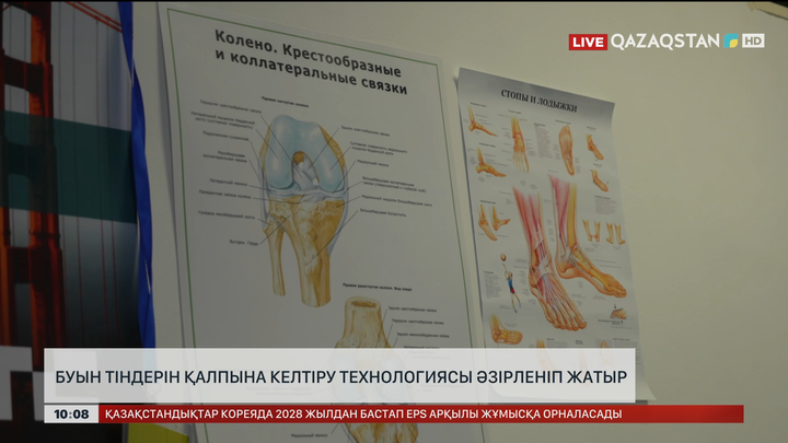 Қазақстанда буын тіндерін қалпына келтіру технологиясы әзірленіп жатыр