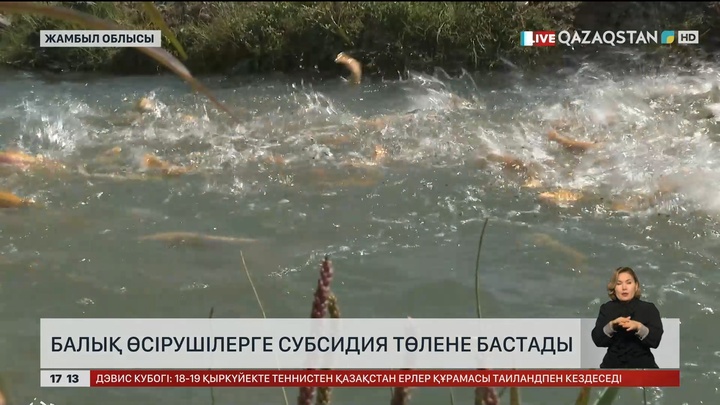 Балық өсірушілерге субсидия беріле бастады
