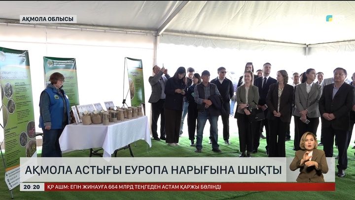 Ақмола астығы Еуропа нарығына шықты