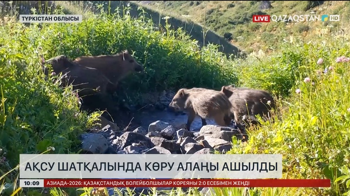 Ақсу шатқалында көру алаңы ашылды