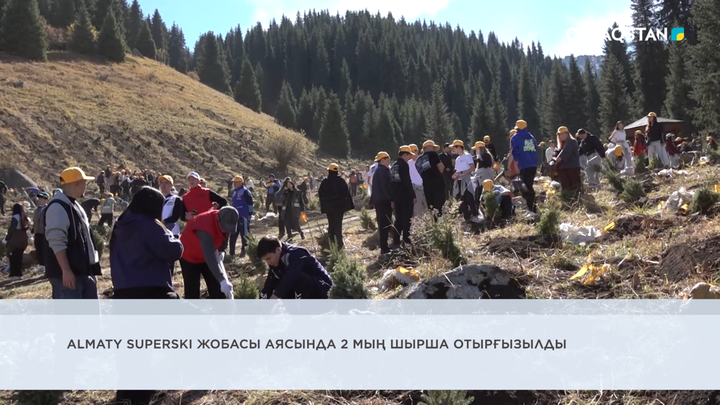 Almaty Superski жобасы аясында 2 мың шырша отырғызылды