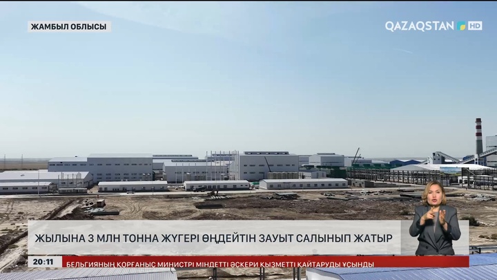 Жамбыл облысында жылына 3 млн тонна жүгері өңдейтін зауыт салынып жатыр